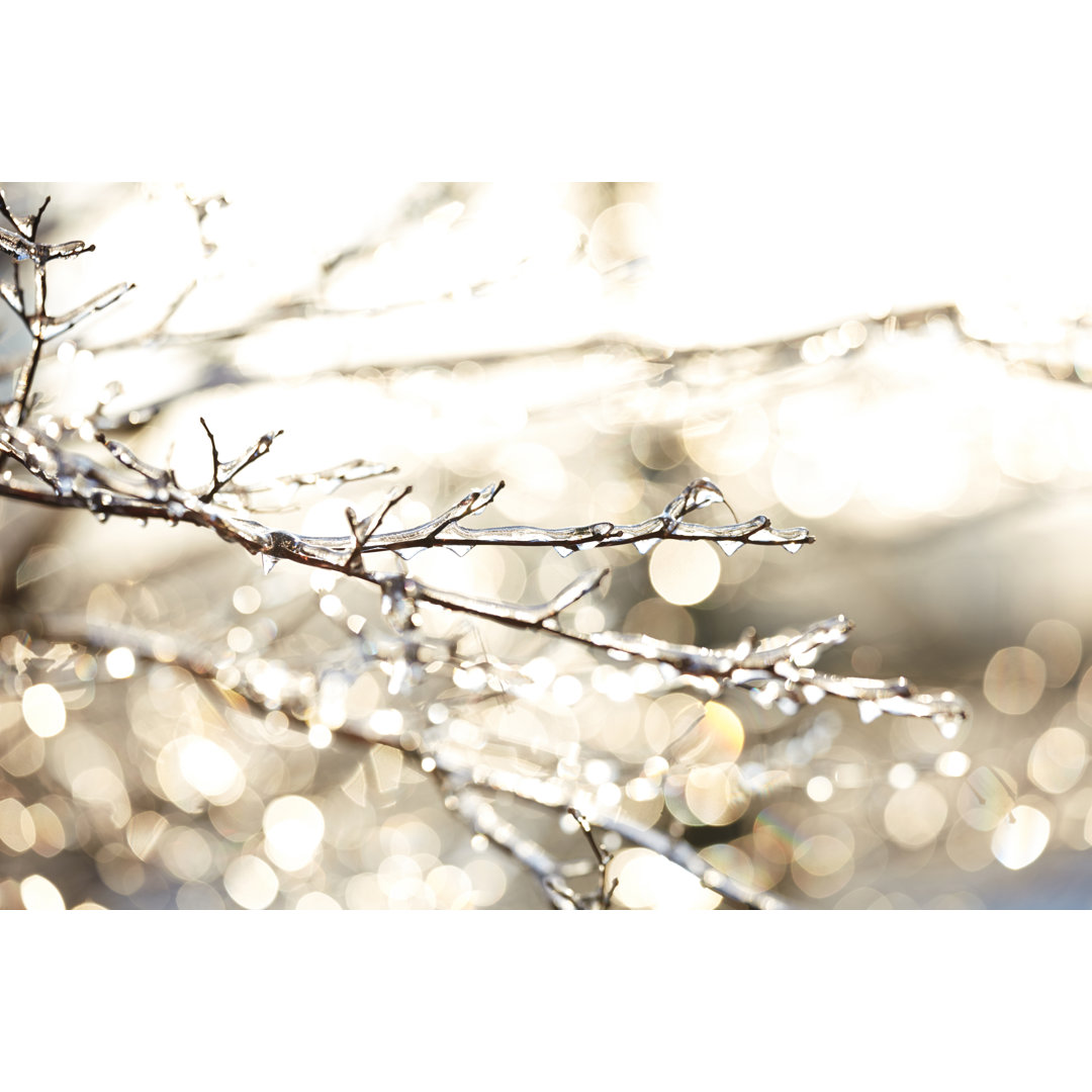 Gefrorene Äste im Winter von Sangfoto - Drucken