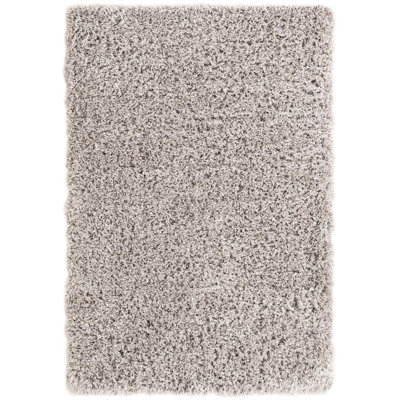 Indoor Rug