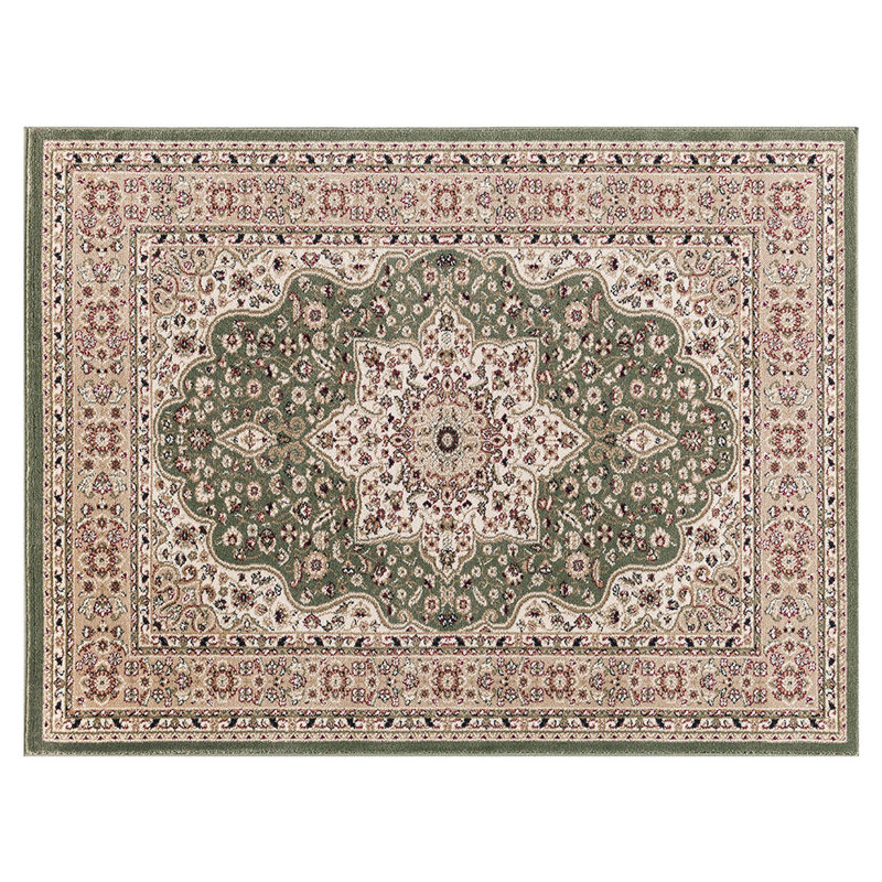Mcnatt Oriental Area Rug, Rectangle 280 x 380cm