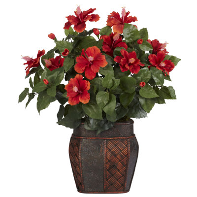 Arrangement floral d'hibiscus dans un vase