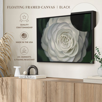 " Camellia "