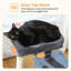 Arbre à chat à plusieurs niveaux pour chats d'intérieur avec poteaux à griffer, hamac et perchoir supérieur pour grands chats-252455019