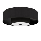Jasmine Roth x Hunter 30 inch Brookside Fandelier Ceiling Fan with Lights and Remote