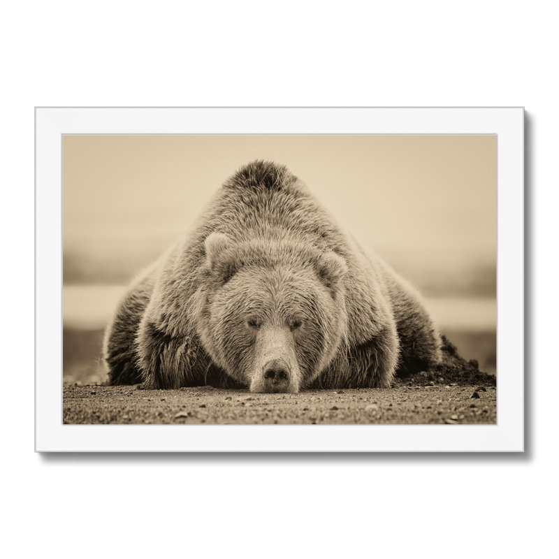 Deep Sleep by PHBurchett - Print, White Framed Paper Print, 24cm H x 34cm W