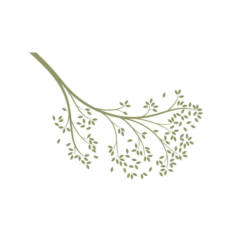 Décalcomanie murale branche atteindre, Vert olive