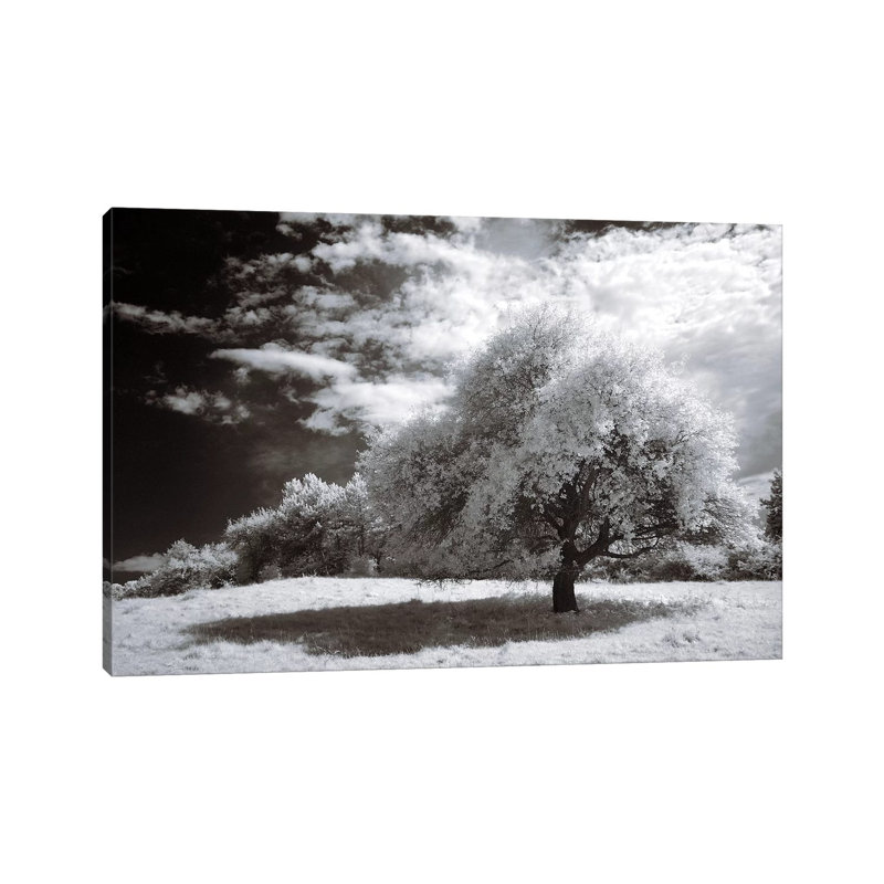 Peace 1 Piece Wrapped Canvas Wall Art, 30.48 cm H x 45.72 cm W