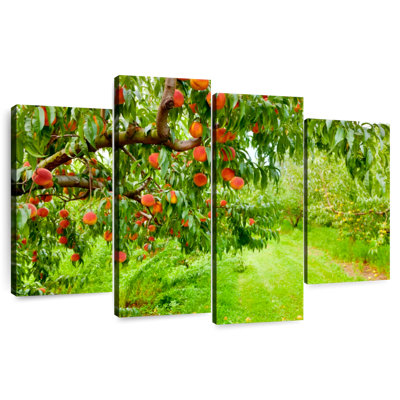 Harnek Peach Orchard