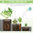 Jasso Wood Planter Box