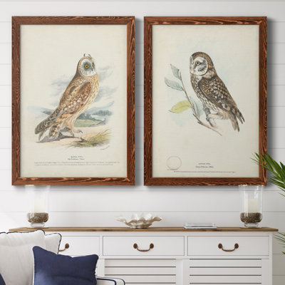 " Hawk Owl " 2 - Pieces