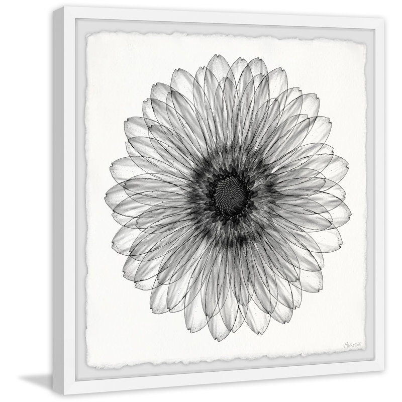 Elegant Sunflower - Single Picture Frame Painting, 30cm H x 30cm W x 3.81cm D