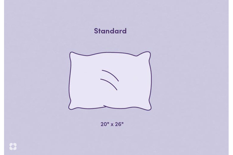 illustration of a standard pillow with the size of 20 x 26 inches underneath