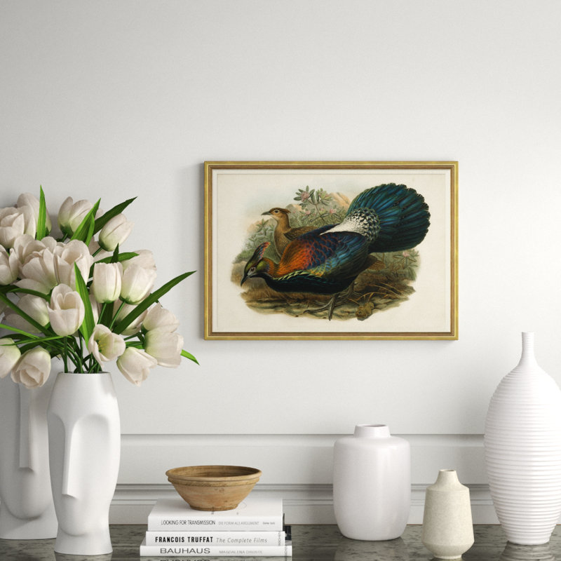 Pheasants From Gould's Birds Of Australia 7 Giclee Print by John Gould