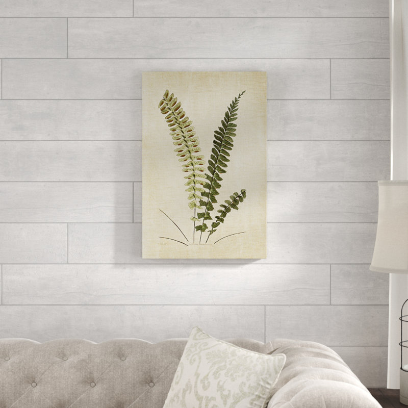 « botanique plate vi », reproduction d’impression sur toile tendue, H 18 po x l 27 po x P 1,5 po