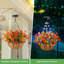 Hanging Basket Arrangement