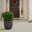 Artificial Boxwood Topiary-382838813