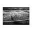 Art sur toile «bolle Andrei»-109334824