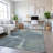 Premium Machine Washable Elize AMF1354 Modern Rug-835052149