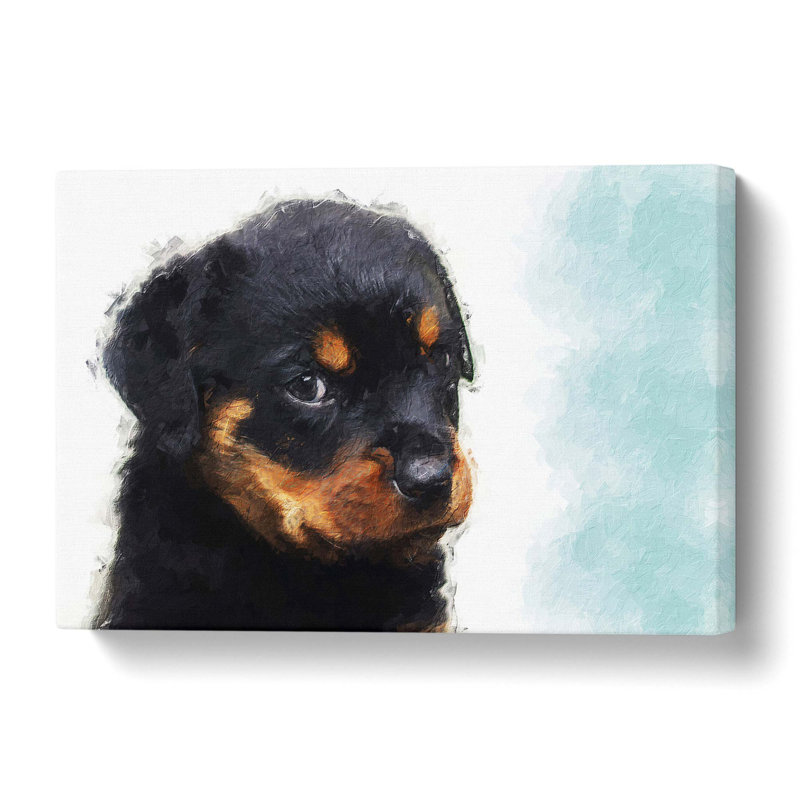 Rottweiler Puppy - Wrapped Canvas, 35.6 cm H x 50.8 cm W