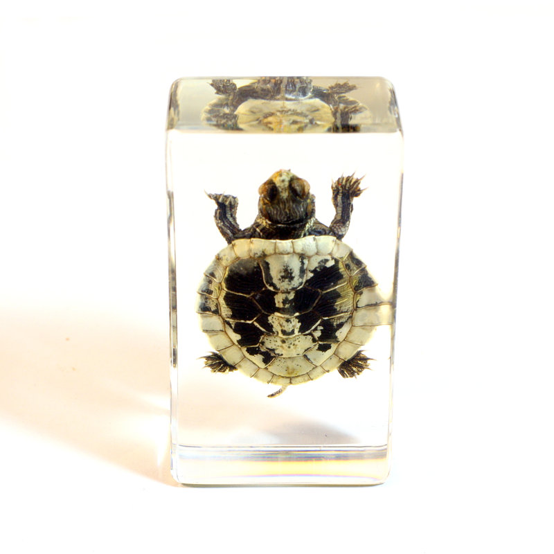 Auten Animals Figurines & Sculptures