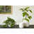 Matte White sélectionné