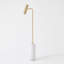 LED Task Floor Lamp
