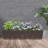 Jacylyn Plastic Indoor / Outdoor Planter Box