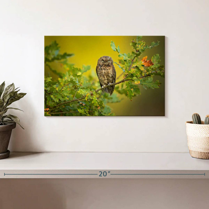 Owl Perching On Tree, 8" H x 12" W