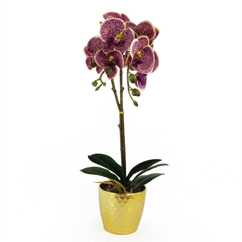50cm Faux Plant in Pot Liner, Purple Leopard