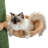 Ellamaria 90.2-108" Multi-purpose floor standing cat climbing tower with platform, adjustable height, toy ball, anti-tip design for cats up to 10 lbs.