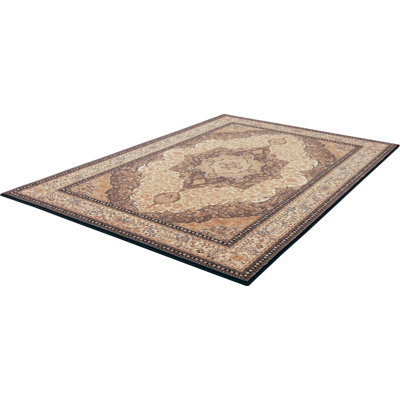 Oriental Area Rug