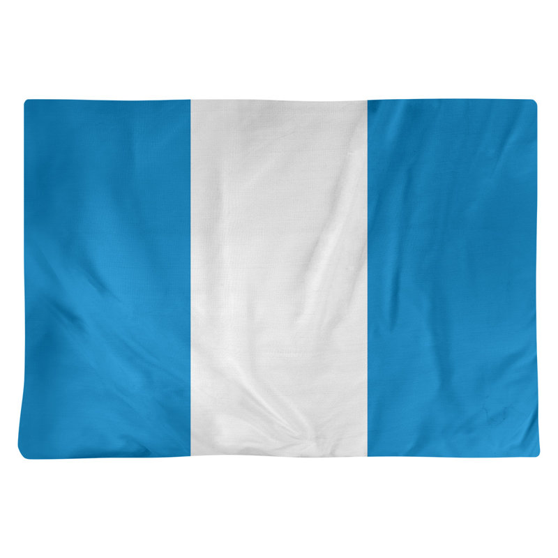 Récapitulatif 18" à rayures de football Carolina, Bleu / blanc