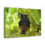 No Frame Print on Canvas-1381344527