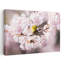 White-Eye On Sakura Blossoms by Haruma Okubo - Wrapped Canvas Print-1824153884