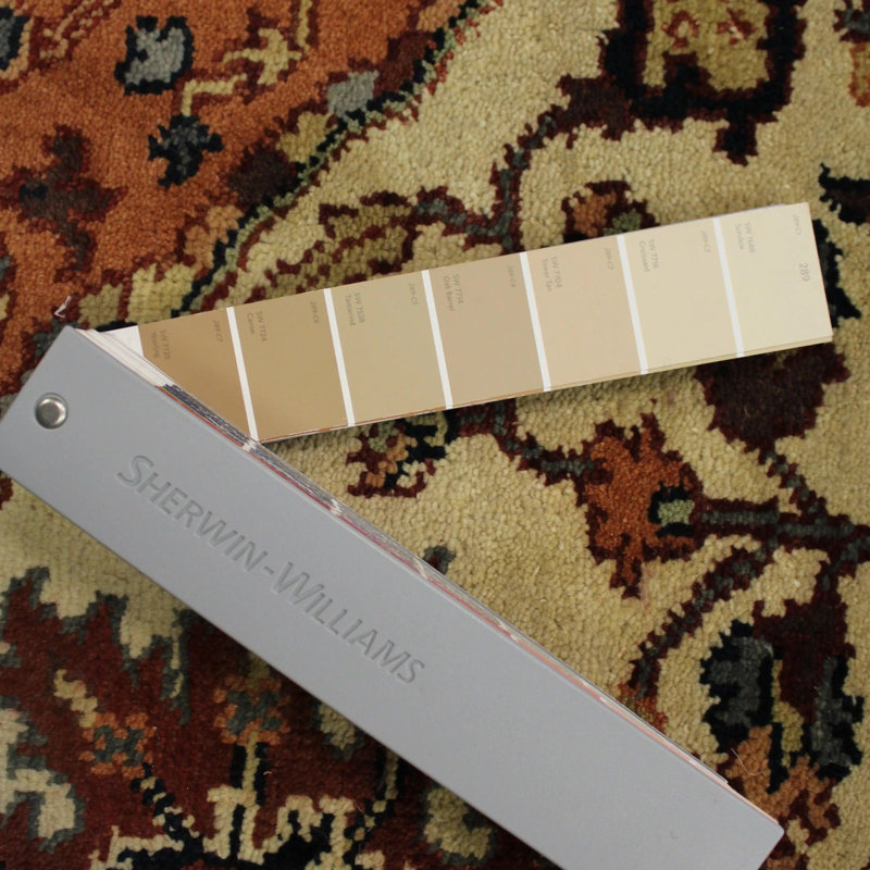 Oriental Area Rug in Beige