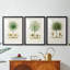 Arbre antique avec fruit VII - reproduction encadrée sur mesure de qualité supérieure mate - 3 pièces-1062297125-1062297126