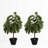 Artificial Norfolk Pine Tree