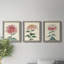 «Chrysanthemum Woodblock I», ensemble de 3 peintures sur toile encadrées-2042041060-2042041063
