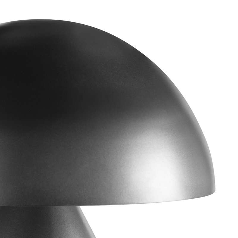 Apollo Blackened Iron Modern Table Lamp with Metal Shade