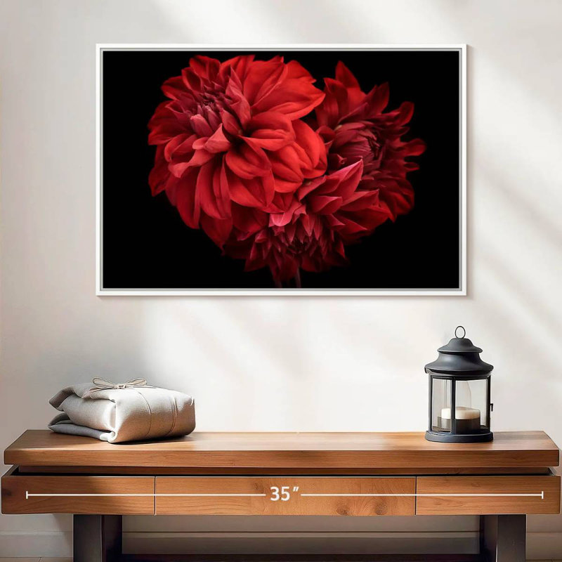 Dahlia rouge en fleurs, Cadre flottant blanc, 25 po x 17 po