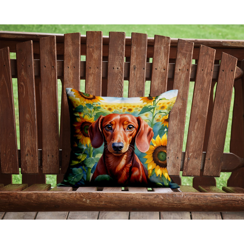 Other/No Pattern Outdoor Throw Pillow, 14"H x 14"W