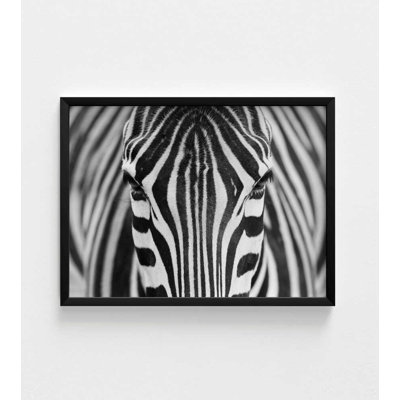 Étude de zèbre - Photographie de la faune en noir et blanc