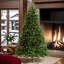 Arbre de Noël illuminé 6 pi