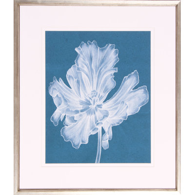 Monochrome Tulip II Print by Goldberger