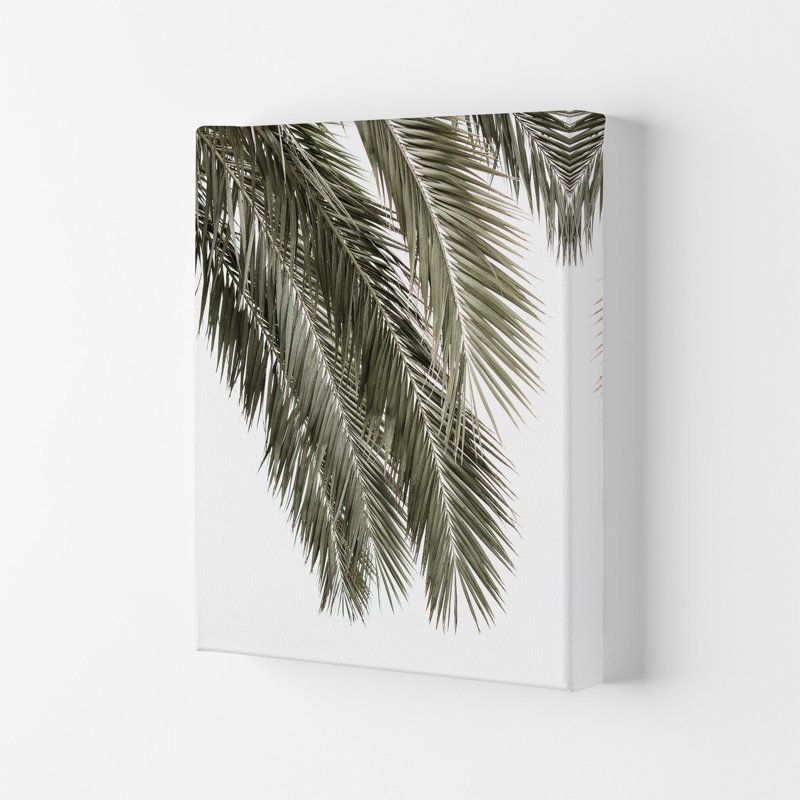 Palms by Victoria Frost - Print, 42cm H x 29.7cm W x 4cm D, Wrapped Canvas