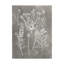 « herbarium study iii », reproduction d’impression sur toile tendue-856699251