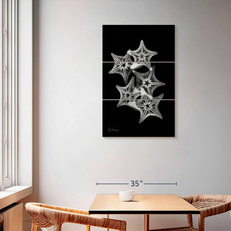 Brampt Starfish Collage, 57" H x 36" W