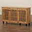 Armoire de rangement à chaussures pour 12 paires Cornellious