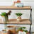 Set of 2 Rectangular Basket Planters with Geometric Trim