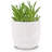 Ceramic Pot Planter-1067193445