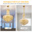 Alarica 10 - Light Chandelier